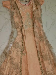 Elegant Ethnic Gown