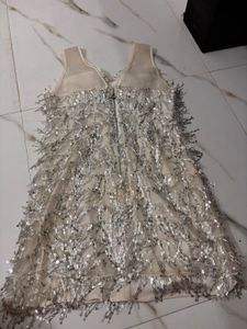 Sparkly Fringe Party Dress