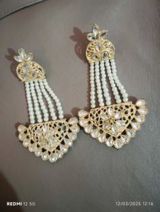 Beautiful Earings ✨