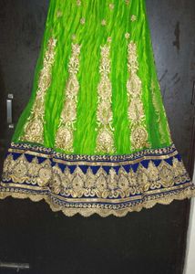 Green Embroidered Lehenga Skirt