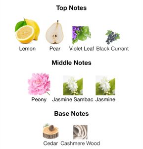 Giorgio Armani Acqua Di Gioia EDT