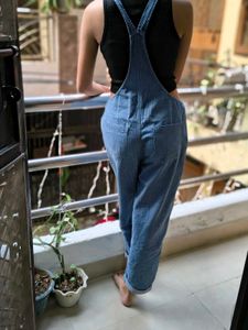 Denim Overalls