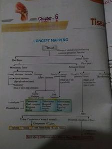 Support MATERIAL CLASS 9TH SCIENCE
