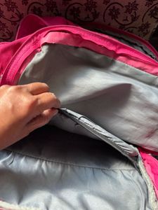 Skybags Pink Backpack