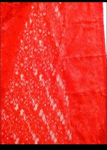 Beautiful Red Saree