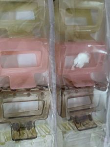 Mini Claw Hair Clips - Pack of 12