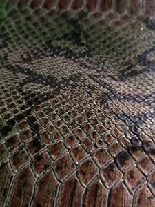 Snake Print Clutch