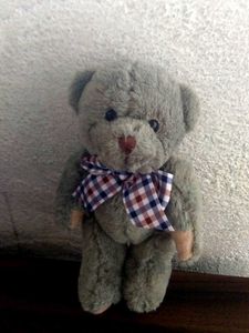 Cute Little Teady Bear