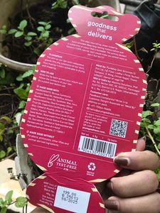 Plum Candy Melts Lip Balm