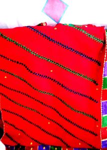 Bridle Saree
