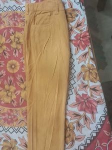 Mustard Casual Pants