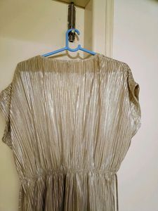 Shimmery Champagne Dress