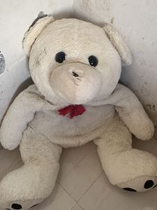 Big Size Taddy Bear