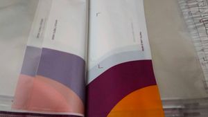 meesho courier bags 100 pieces