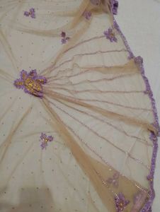 Elegant Beige Net Saree