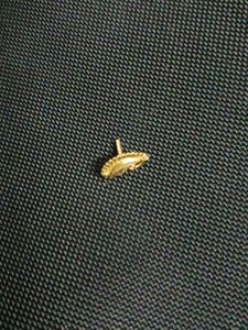 Gold Nose Pin