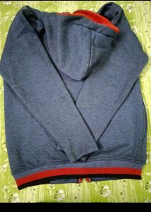 College Division Hoodie Zip Up