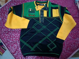 Boys /Mens Sweat Shirt Bright Lovely Colours