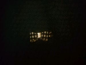 Chequered Charm Clips