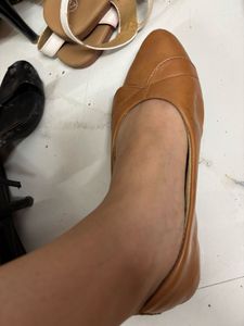 Formal Brown Bellies