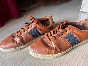 Arrow Sneaker Men Shoes