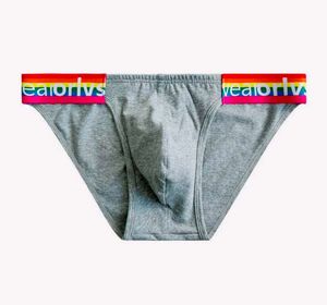 Stylish Men&#39;s Briefs