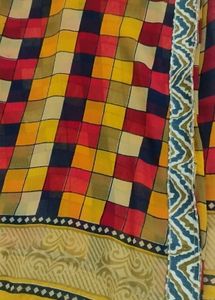 Colorful Checkered Saree