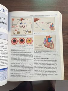 Dm Vasudevan Biochemistry For Mbbs Students