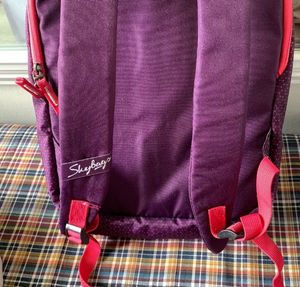 Skybags Purple Bagpack💜