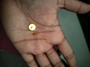 Earring Making Raw Material ( Price Negotiate)