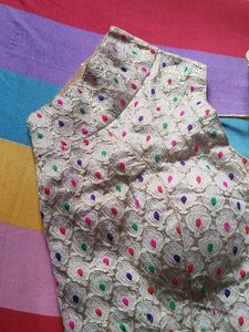 Unused Blouse