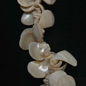 Mother Of Pearl  Shell Necklace