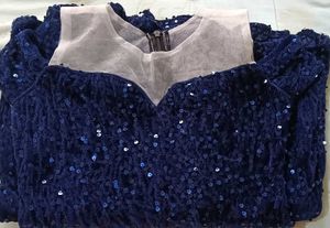 Sparkly Navy Blue Dress