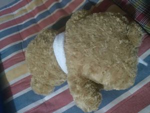 Cute Teddy Bear