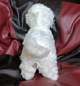 Ultra Soft Premium Quality Dog Plushie