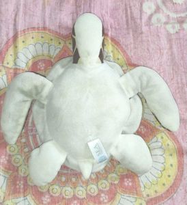 Turtle Plush Teddy