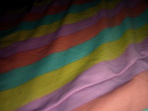 Polo Top