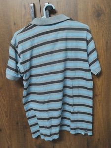 Blue Medium Size Men T-shirt