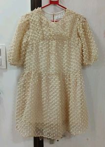 Trendy Zara Popcorn Pattern Dress