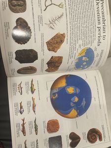 DK Ultimate Visual Dictionary