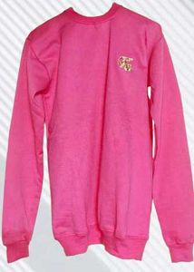 Pink 🩷 Sweatshirt
