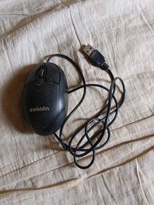 Mouse