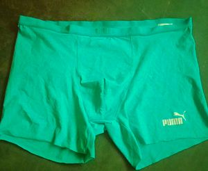 Puma Seamless Mens Ice Panty