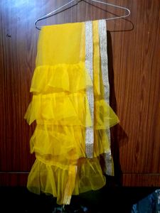 Orange Net Dupatta