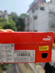 Puma Sport Shoes