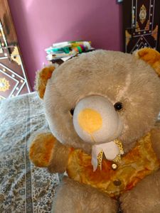 Cute Teddy Bear