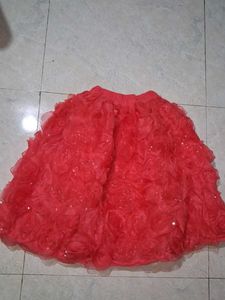 Peach organza skirt with rose floral Design
