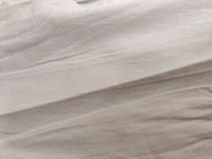Crisp White shirt women