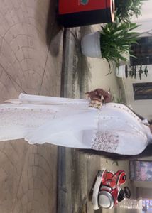 Elegant White Embroidered Kurta Set
