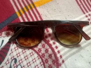 Brown Goggle